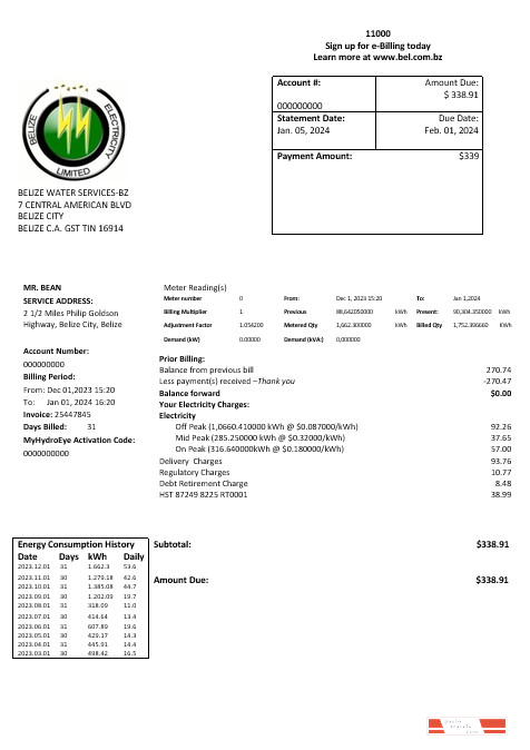 Belize Electricity Limited electricity business utility bill template in Word and PDF format